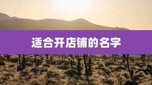 适合开店铺的名字