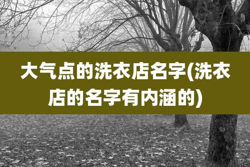 大气点的洗衣店名字(洗衣店的名字有内涵的)