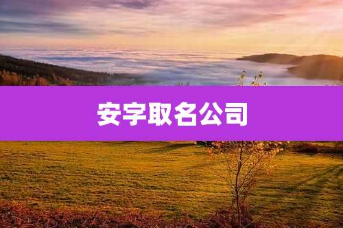 安字取名公司