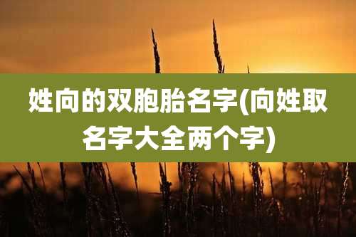 姓向的双胞胎名字(向姓取名字大全两个字)