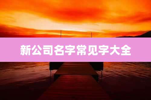 新公司名字常见字大全