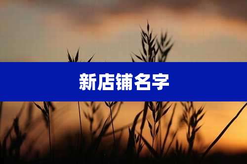 新店铺名字
