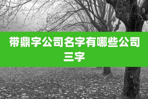 带鼎字公司名字有哪些公司三字
