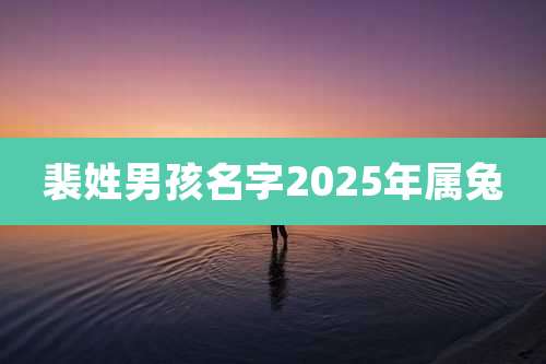 裴姓男孩名字2025年属兔