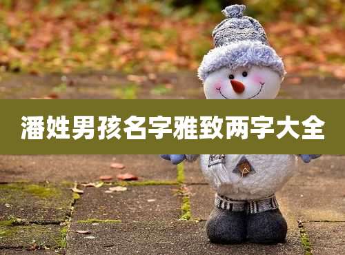 潘姓男孩名字雅致两字大全