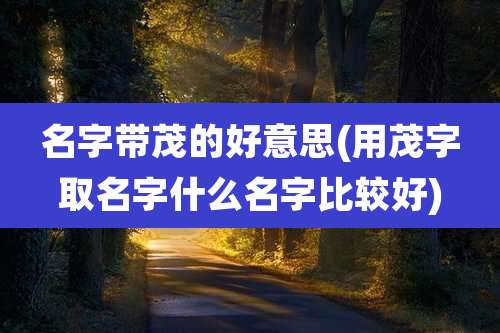 名字带茂的好意思(用茂字取名字什么名字比较好)