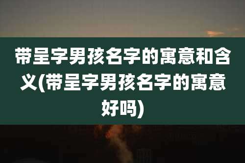 带呈字男孩名字的寓意和含义(带呈字男孩名字的寓意好吗)