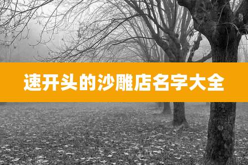 速开头的沙雕店名字大全