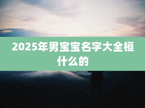 2025年男宝宝名字大全桓什么的