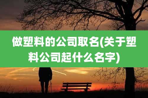 做塑料的公司取名(关于塑料公司起什么名字)