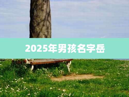2025年男孩名字岳