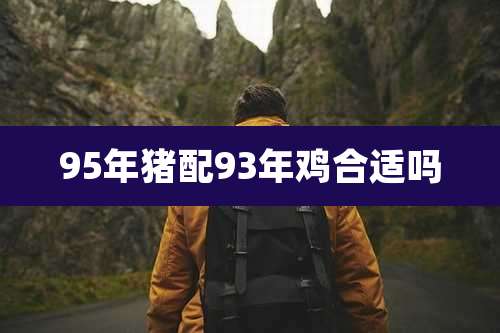 95年猪配93年鸡合适吗