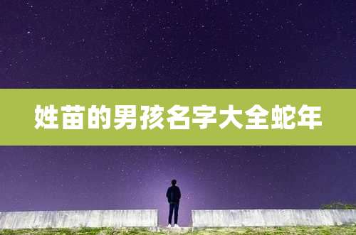 姓苗的男孩名字大全蛇年