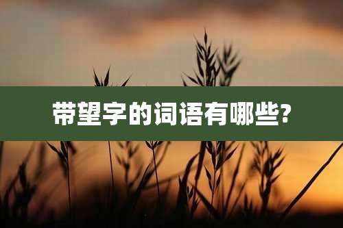 带望字的词语有哪些?