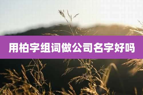 用柏字组词做公司名字好吗