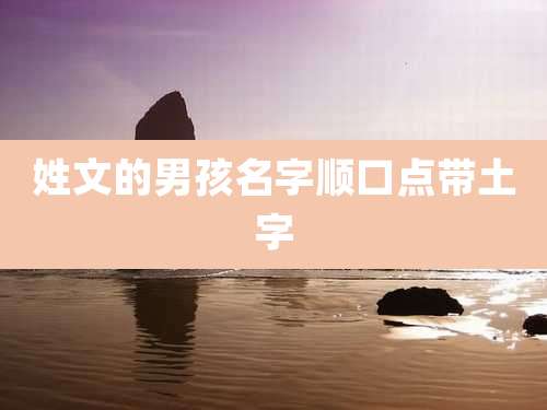 姓文的男孩名字顺口点带土字
