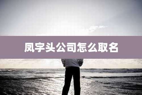 凤字头公司怎么取名