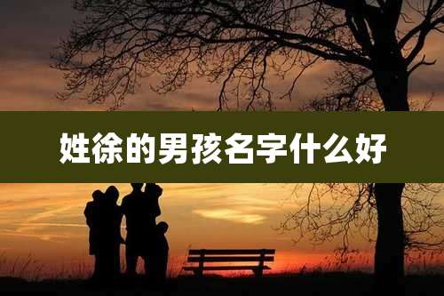 姓徐的男孩名字什么好