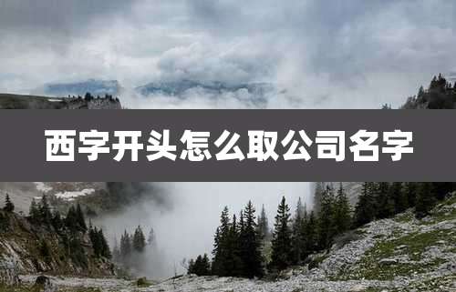 西字开头怎么取公司名字