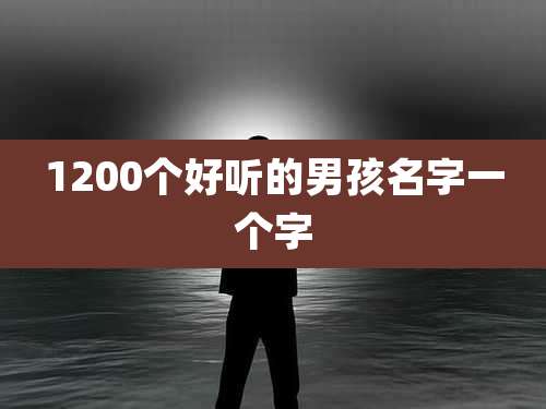1200个好听的男孩名字一个字