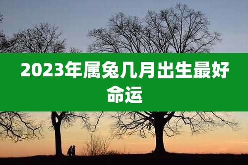 2023年属兔几月出生最好命运