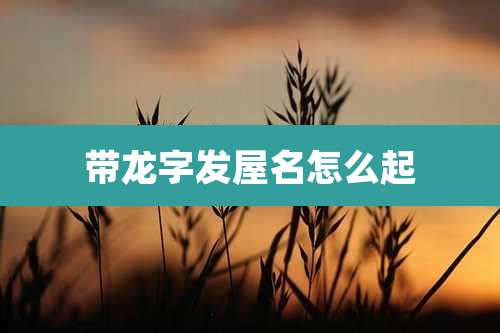 带龙字发屋名怎么起