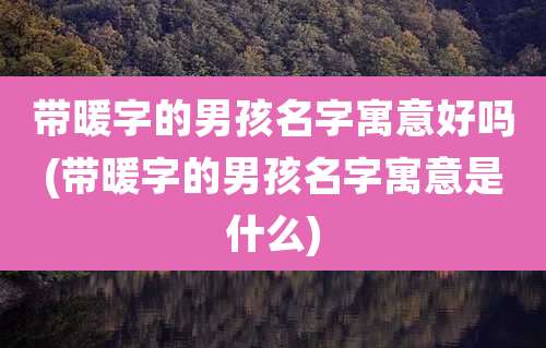 带暖字的男孩名字寓意好吗(带暖字的男孩名字寓意是什么)