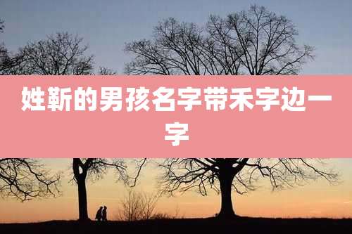 姓靳的男孩名字带禾字边一字