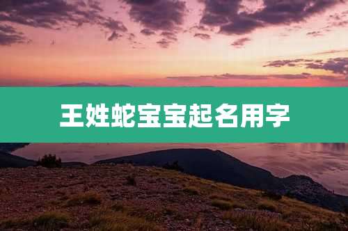 王姓蛇宝宝起名用字