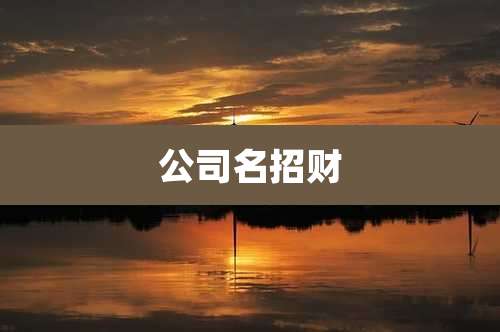 公司名招财