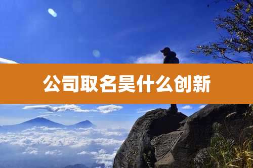 公司取名昊什么创新