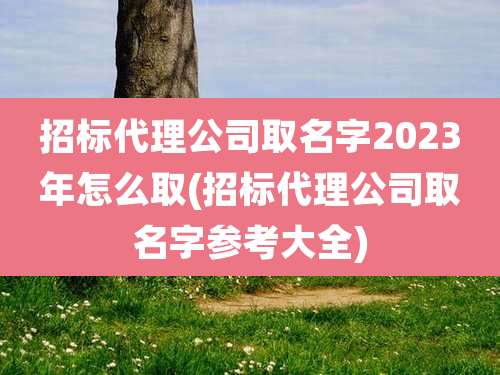 招标代理公司取名字2023年怎么取(招标代理公司取名字参考大全)