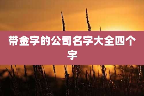 带金字的公司名字大全四个字