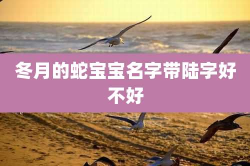 冬月的蛇宝宝名字带陆字好不好