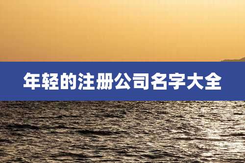 年轻的注册公司名字大全