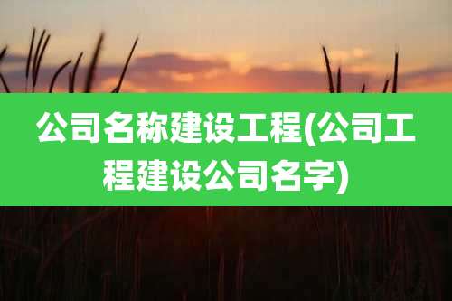 公司名称建设工程(公司工程建设公司名字)