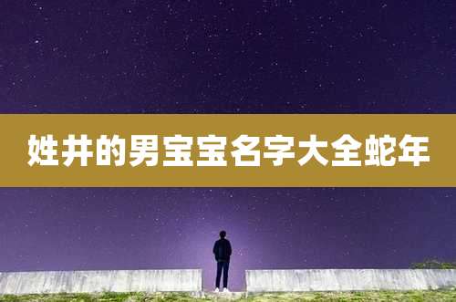 姓井的男宝宝名字大全蛇年