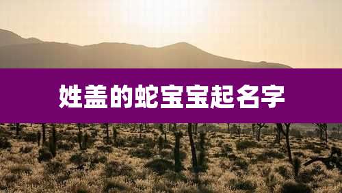 姓盖的蛇宝宝起名字