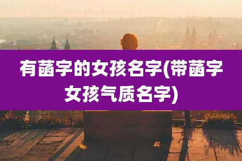 有菡字的女孩名字(带菡字女孩气质名字)