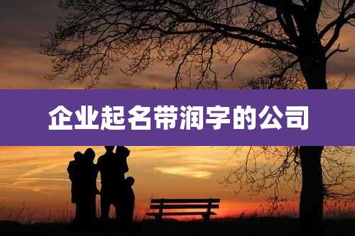 企业起名带润字的公司