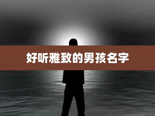 好听雅致的男孩名字