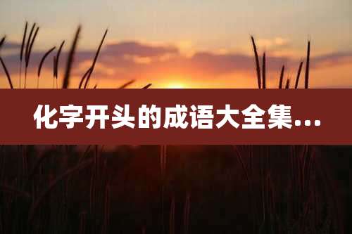 化字开头的成语大全集...
