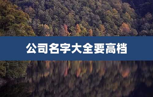 公司名字大全要高档