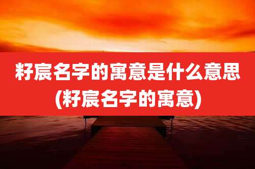 籽宸名字的寓意是什么意思(籽宸名字的寓意)