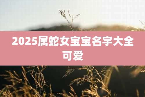 2025属蛇女宝宝名字大全可爱
