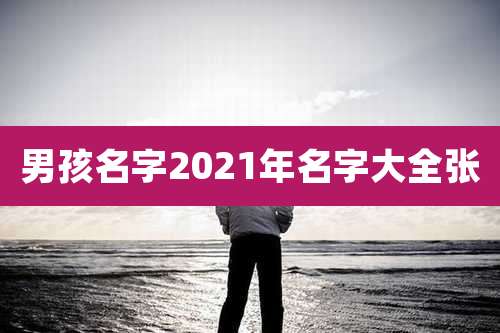 男孩名字2021年名字大全张