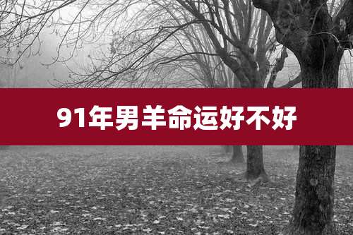 91年男羊命运好不好