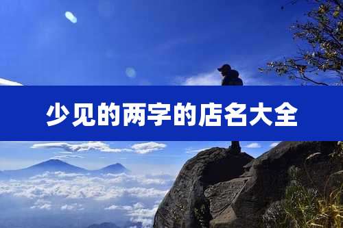 少见的两字的店名大全