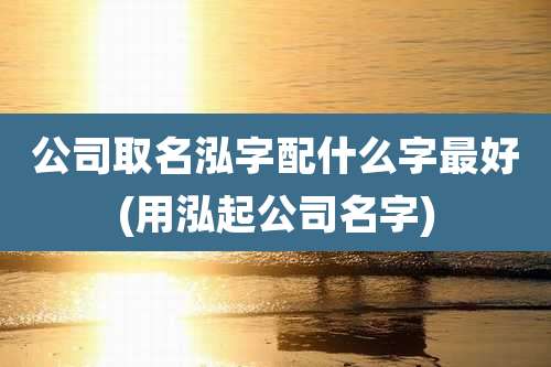 公司取名泓字配什么字最好(用泓起公司名字)