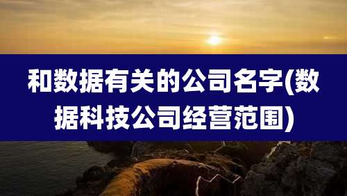 和数据有关的公司名字(数据科技公司经营范围)